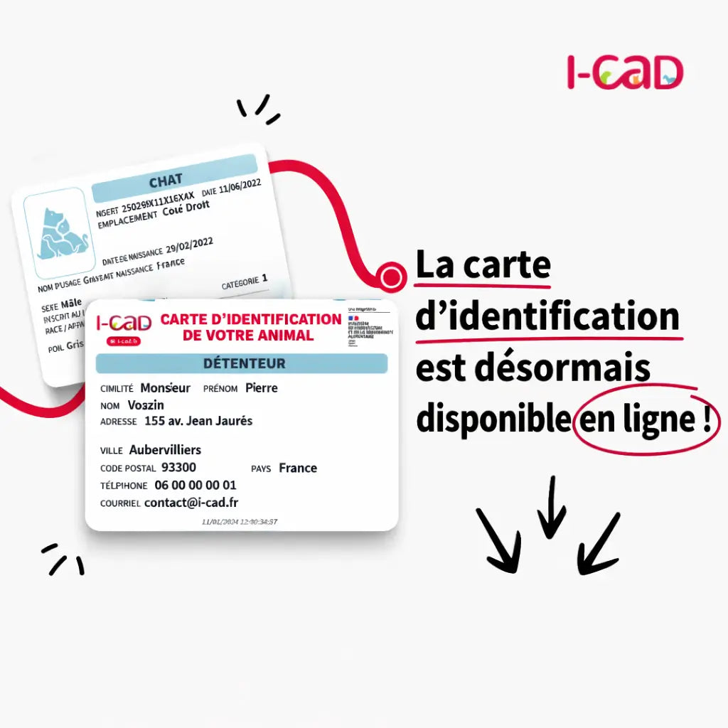 carte d’identification ICAD