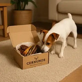 Boxes