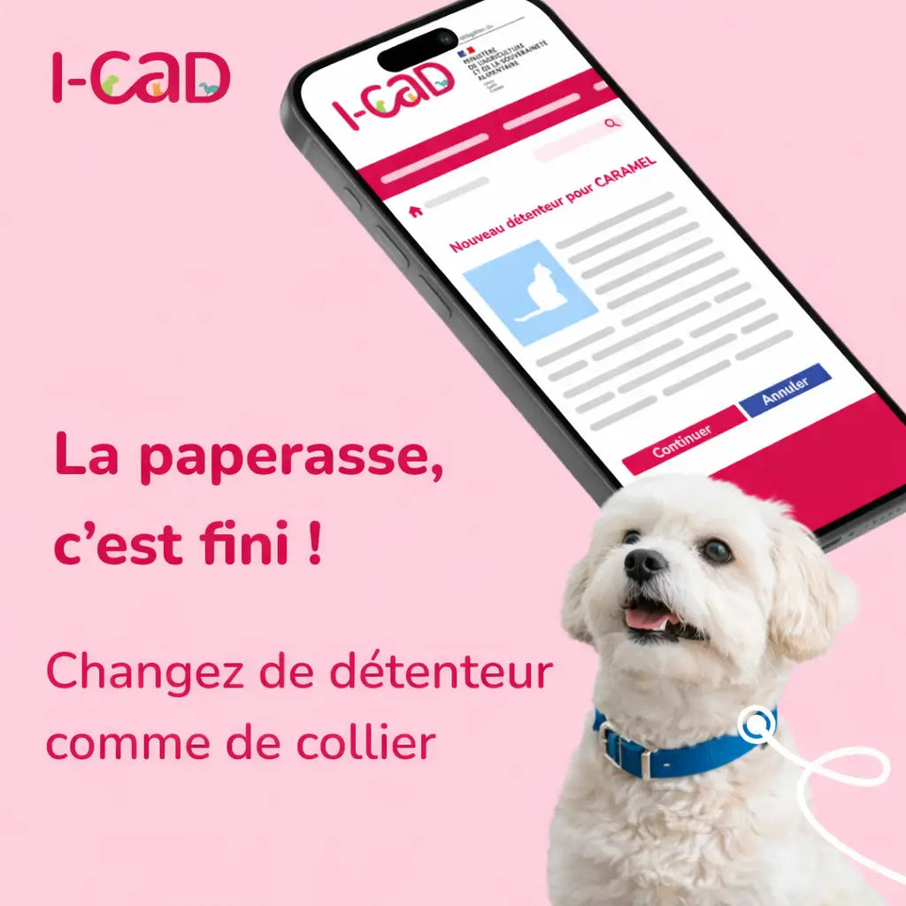 Changement de propriétaire ICAD : procédure, délais et erreurs à éviter