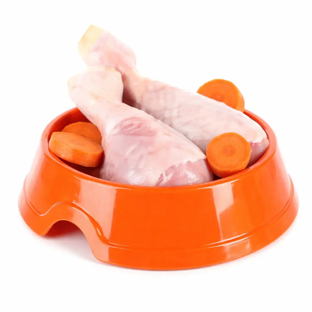 Chien allergique au poulet : quelles friandises sans risque ?