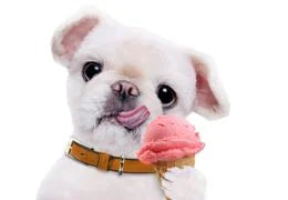 chien qui mange une glace