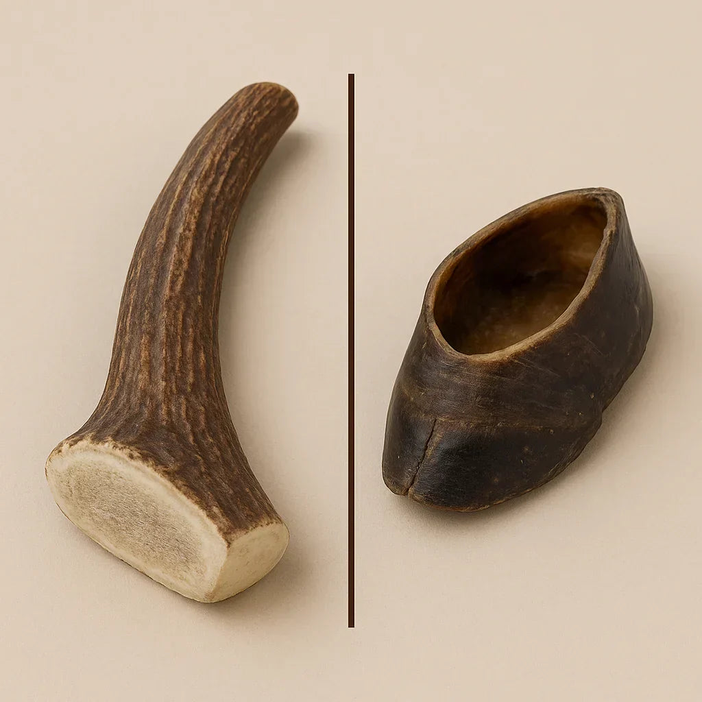 comparatif bois de cerf VS sabot de bœuf