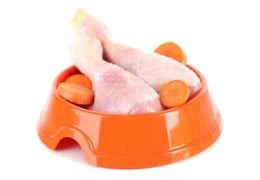 friandise sans poulet pour chien