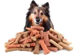 Comment choisir des friandises saines pour son chien ?