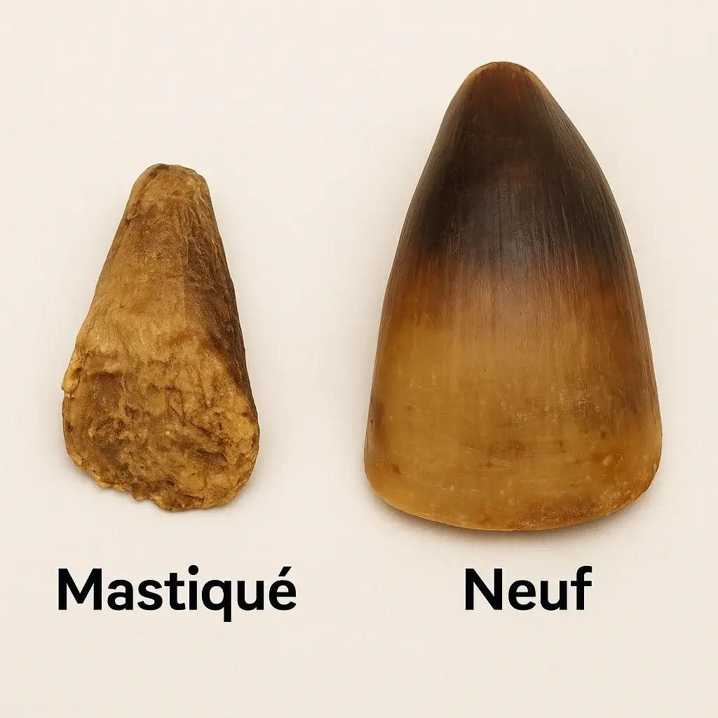 Quand changer un sabot de veau ?  Un sabot de veau n’est pas éternel. Même s’il est dur, il s’use avec le temps et devient moins sûr à mâcher. Pour éviter les risques, il faut savoir&nbsp;quand le remplacer.