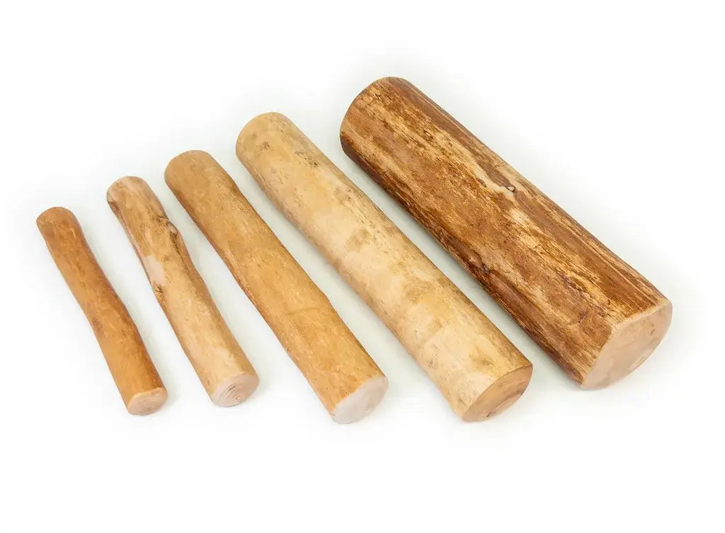 Bois de cannelle pour chien