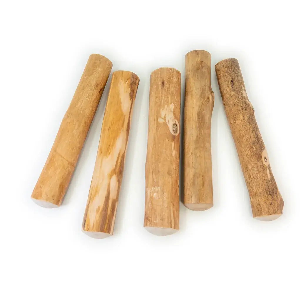 Bois de cannelle pour chien