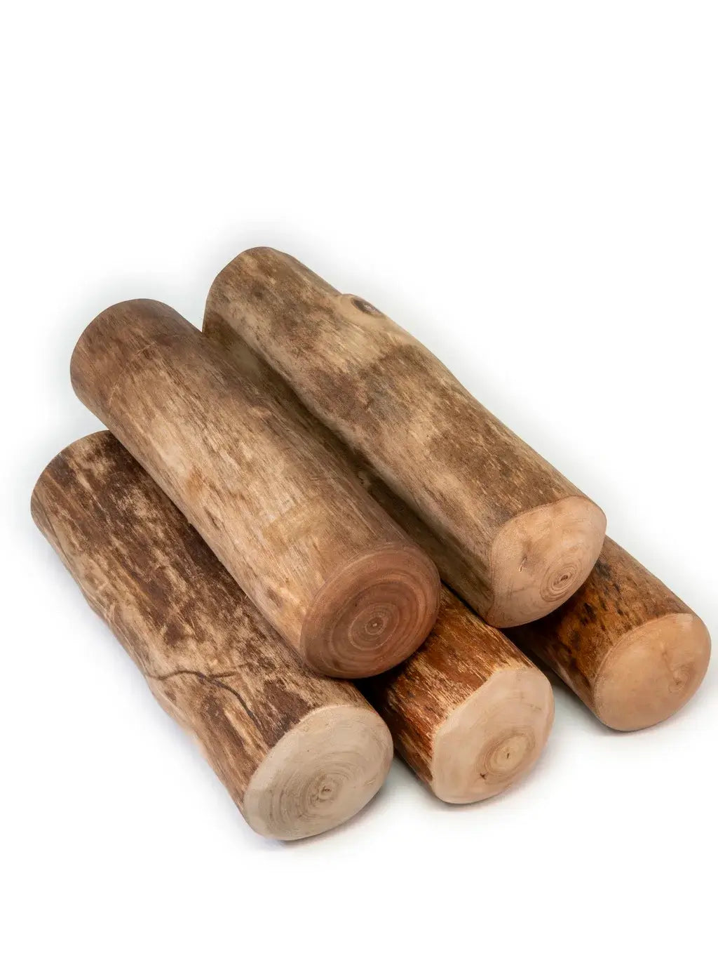 Bois de cannelle pour chien