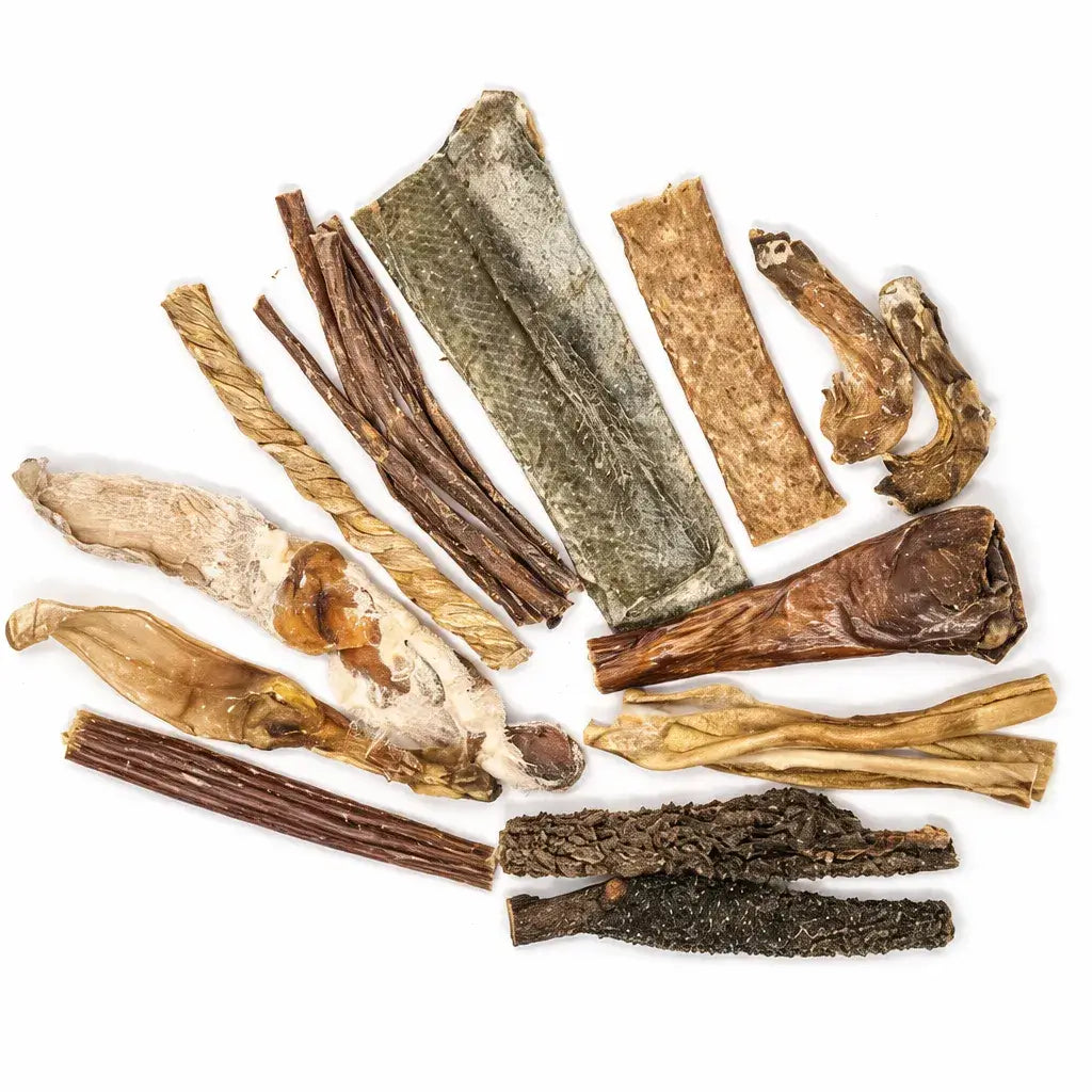 Box sans effort pour petits mâcheurs