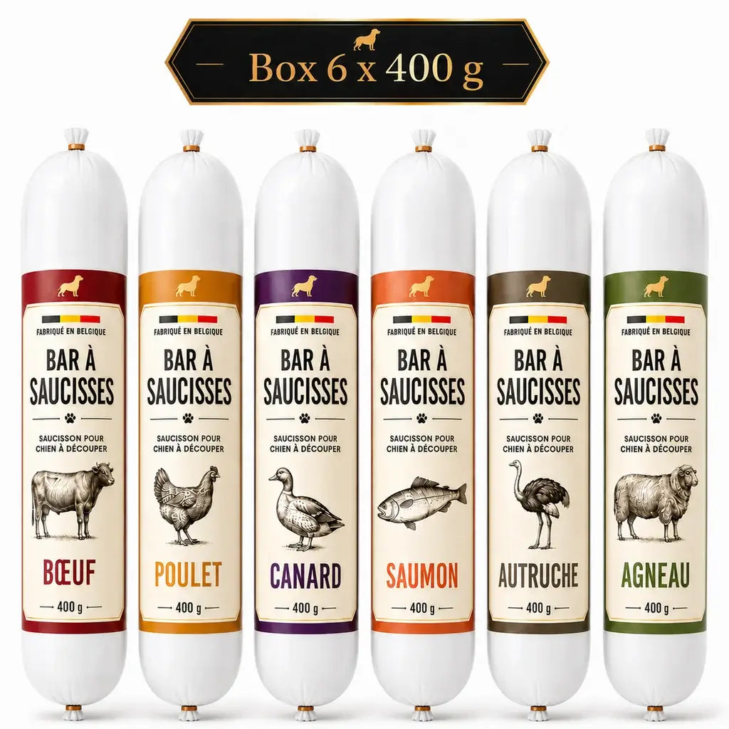 Box saucissons pour chien à découper - 6 recettes