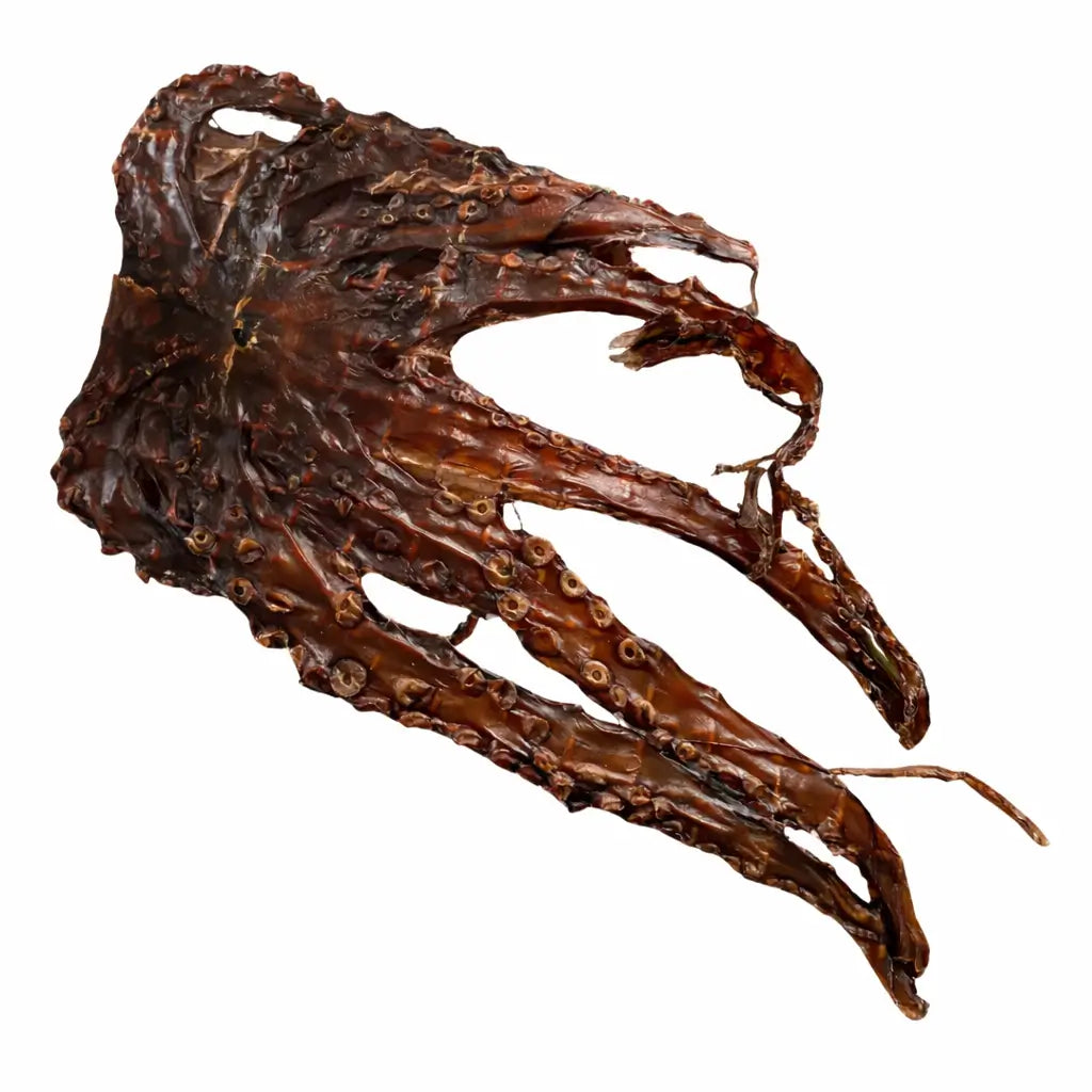 Calamar sechee chien