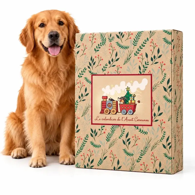 Calendrier de l'avent pour chien