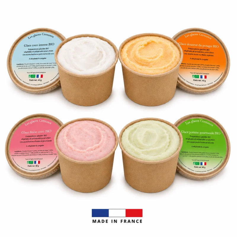 Les glaces Cernunos - 4 recettes BIO à préparer