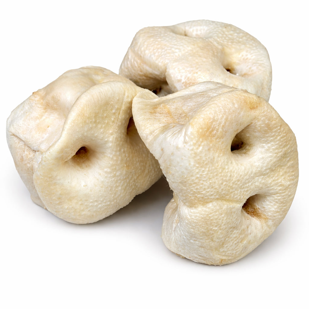 Groin de porc pour chien