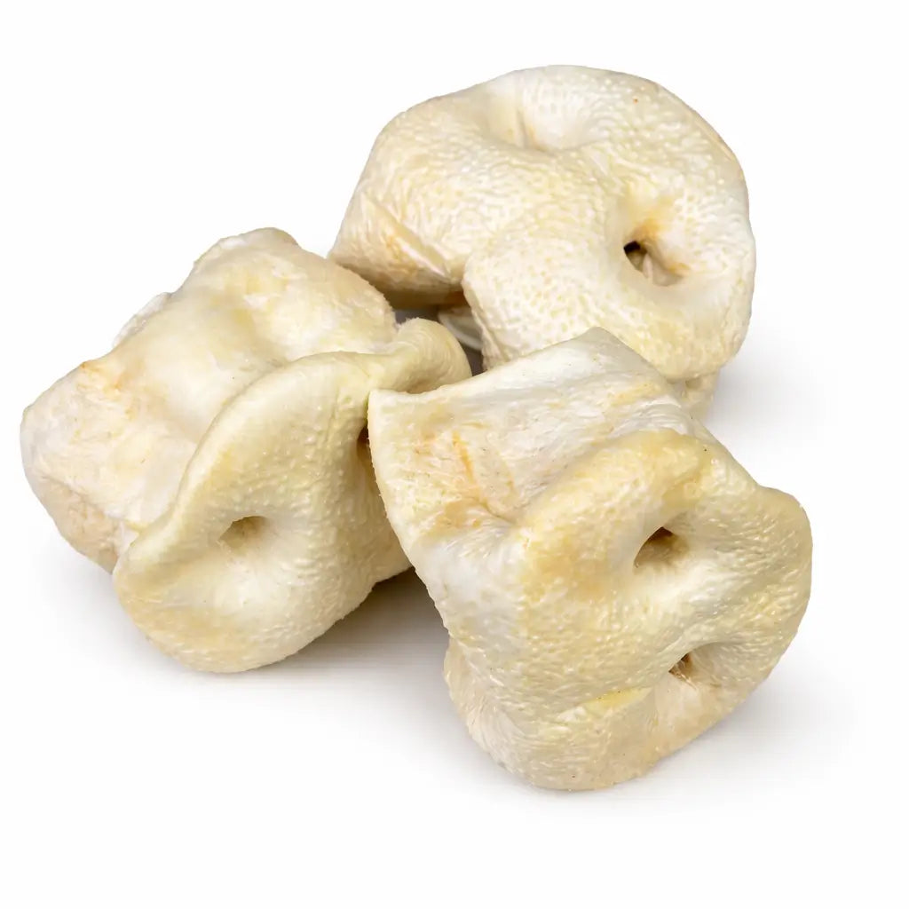 groin de porc soufflé pour chien