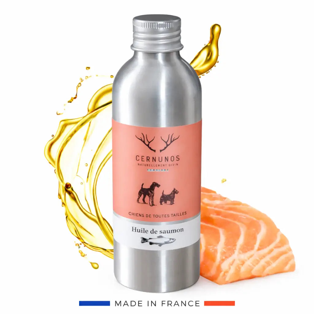 Huile de saumon pour chien