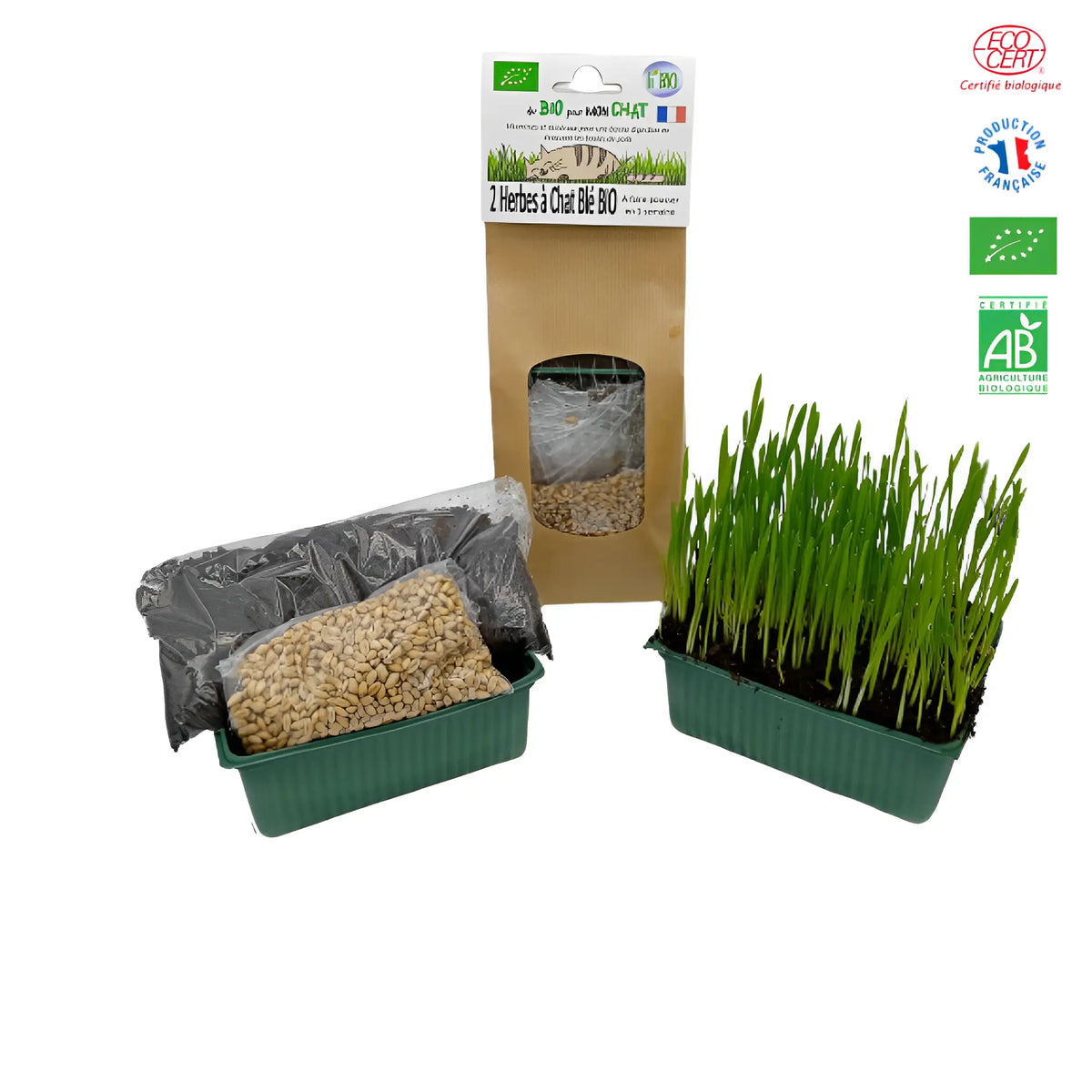 Kit herbe à chat