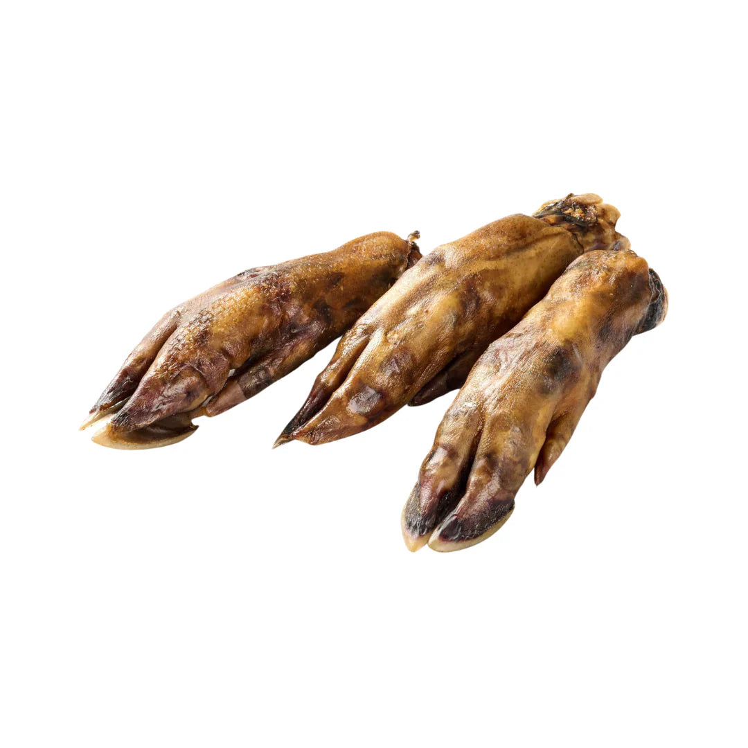 Pattes de sanglier pour chien