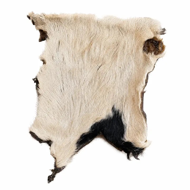 Plaque de peau de bœuf pour chien