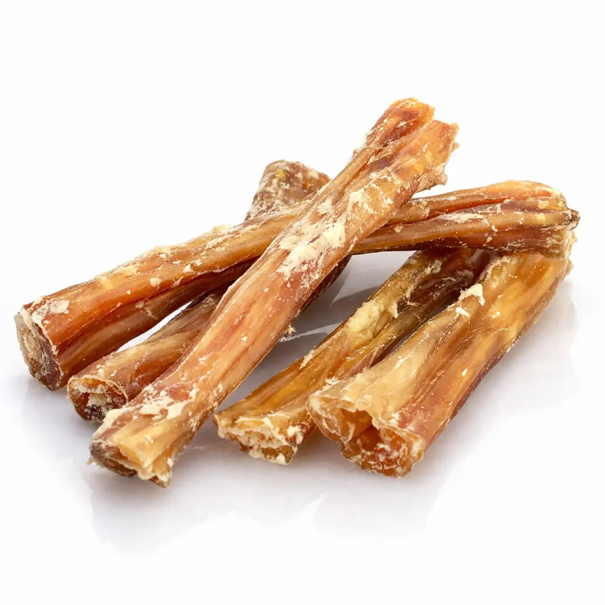 Tendon de bœuf pour chien