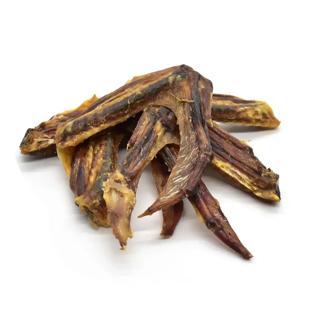 ailes de canard pour chien