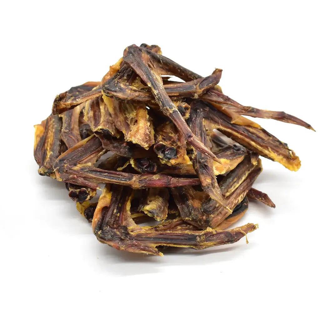 ailes de canard pour chien