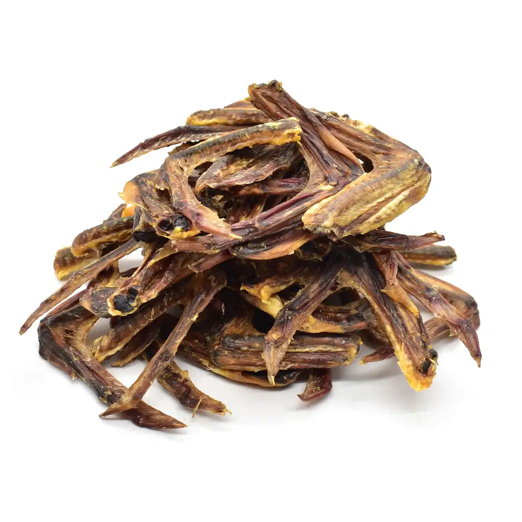 ailes de canard pour chien