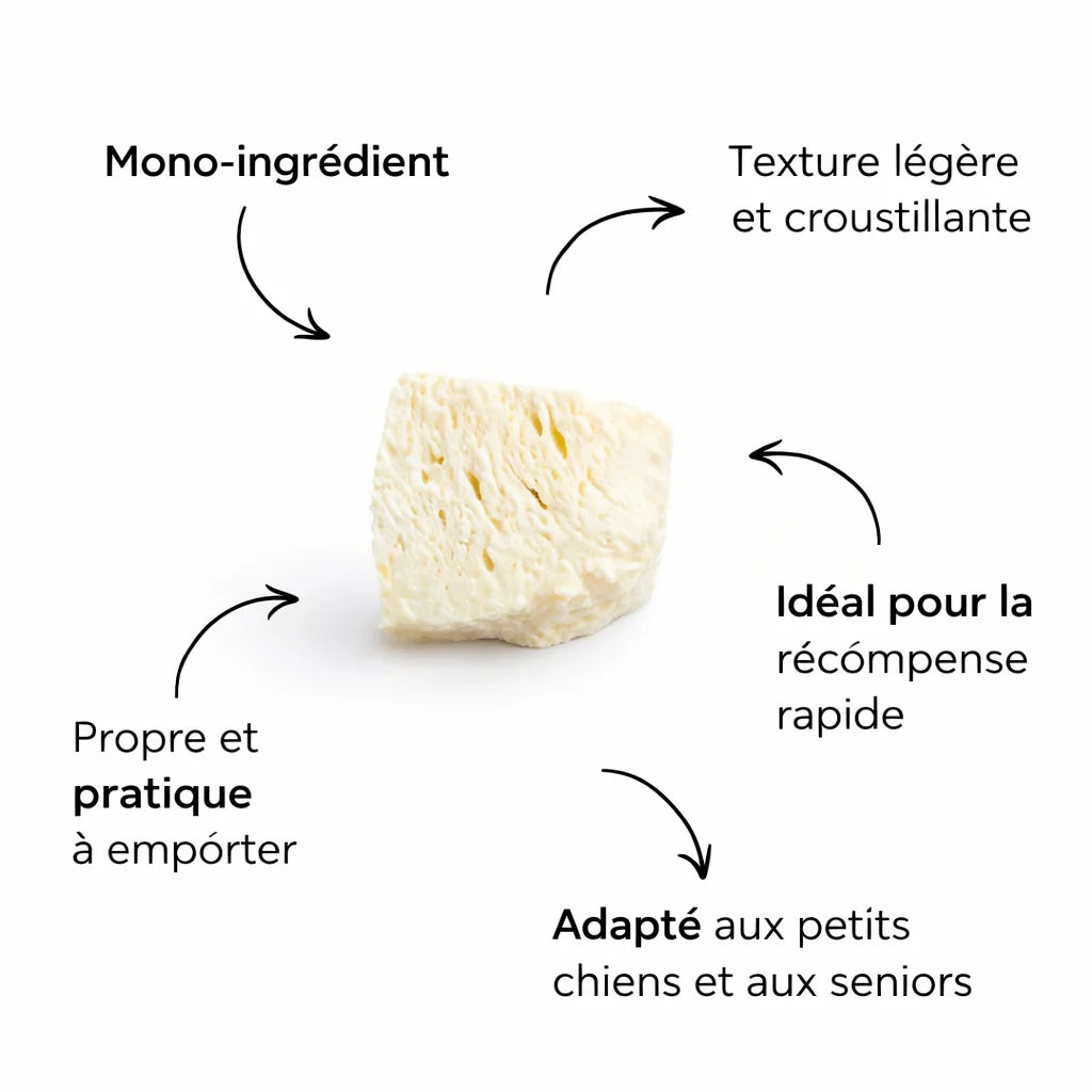 bienfaits_fromage_lyophilise_pour_chien