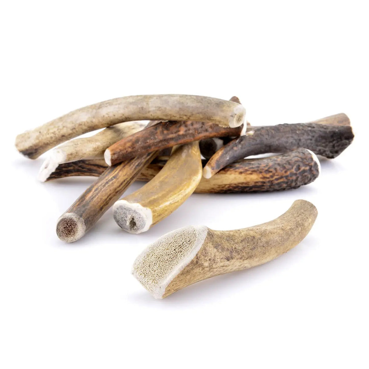 Bois de cerf pour chien entier