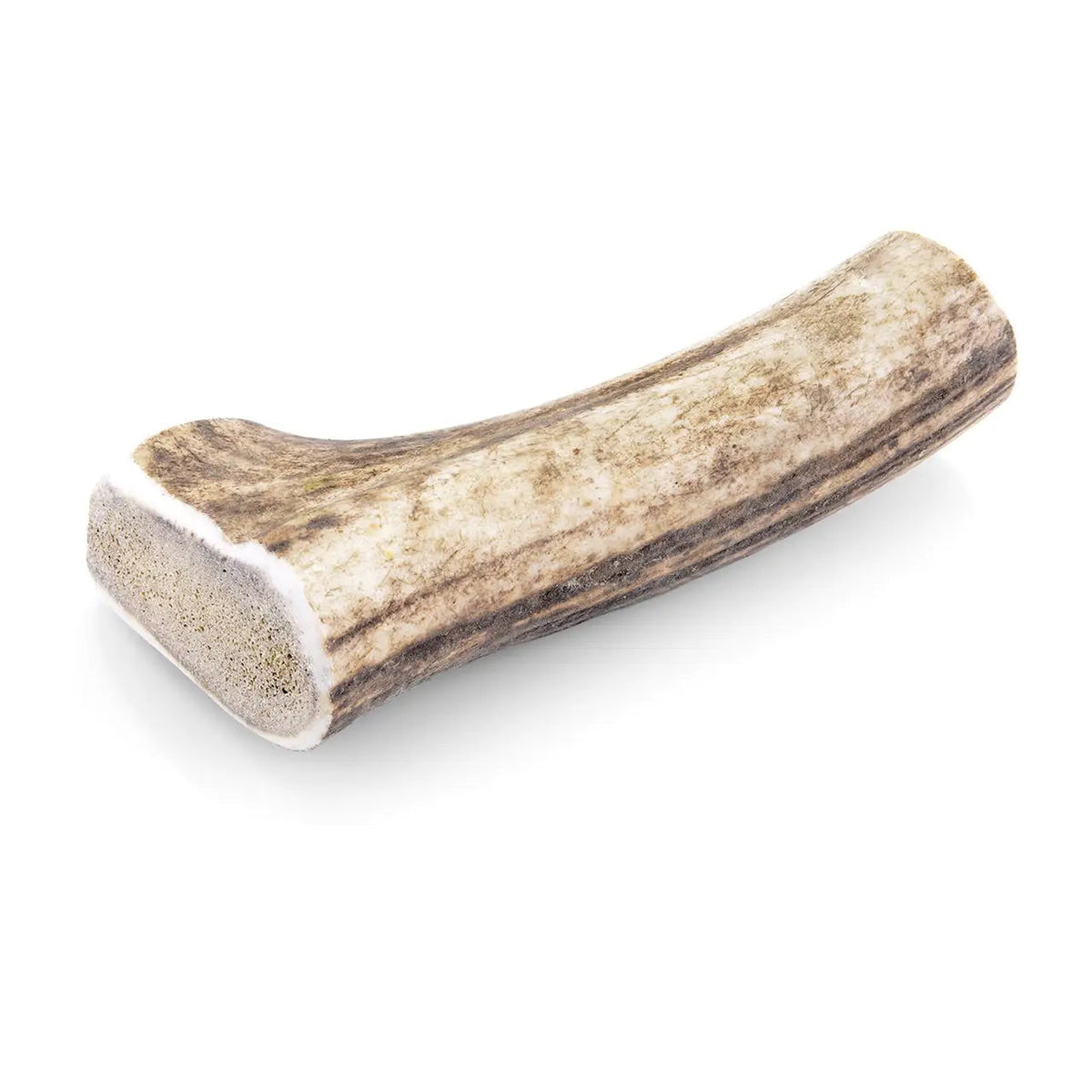 bois-cerf-chien-entier