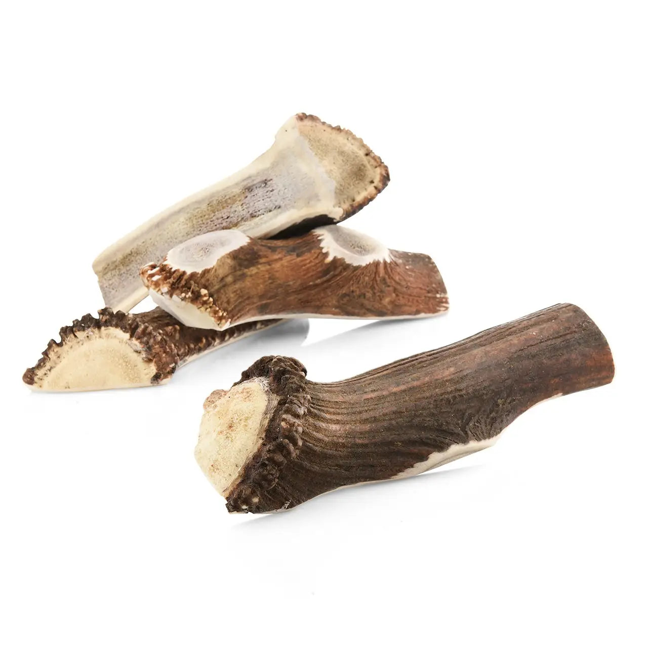 Bois de cerf entier chien – Mastication longue | Recettes de Daniel Bois de cerf entier chien – Mastication longue | Recettes de Daniel