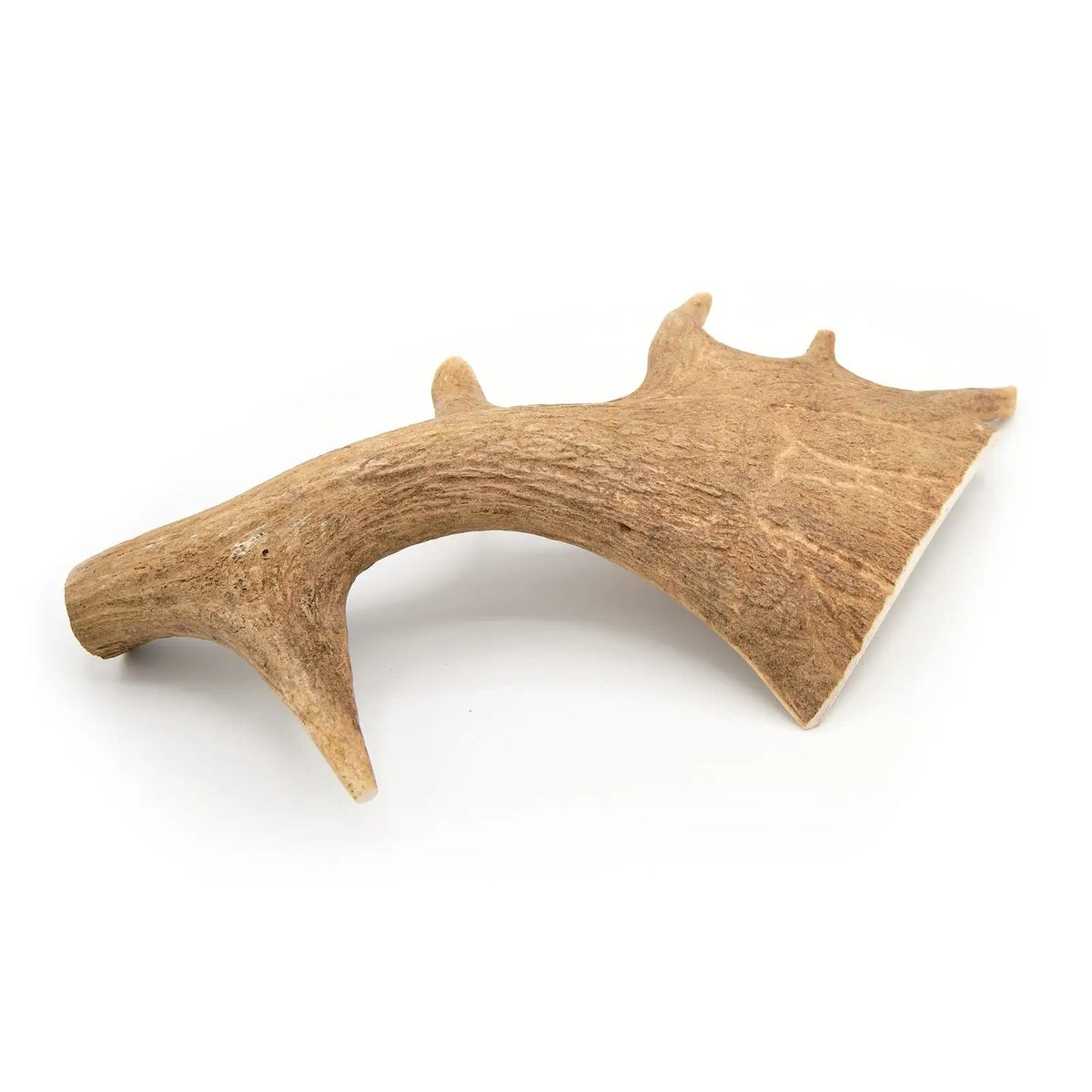 Bois de daim pour chien