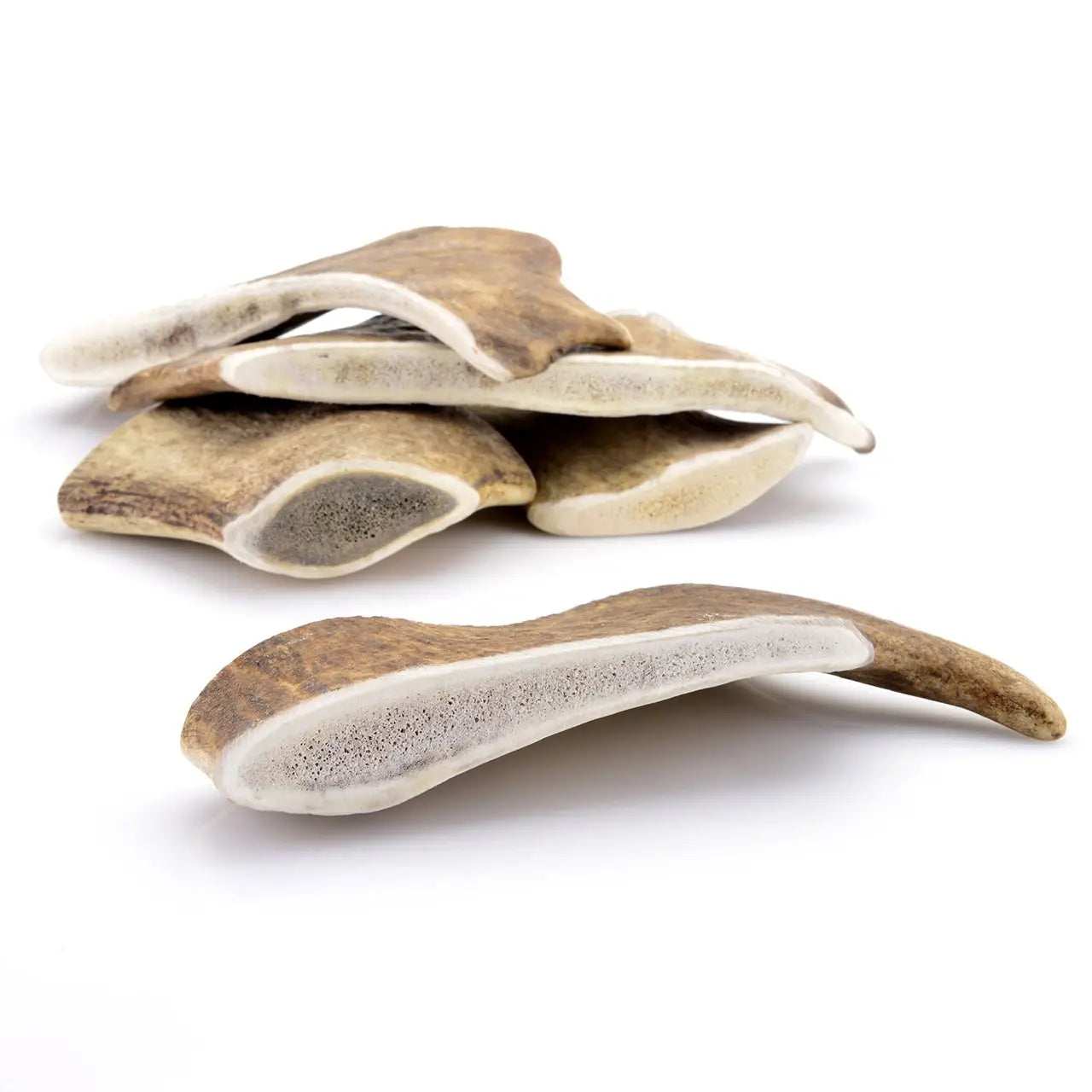 Bois de daim pour chien