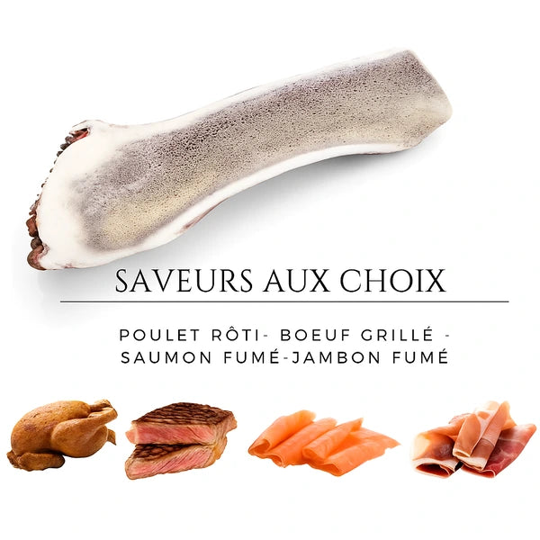 Bois de cerf pour chien