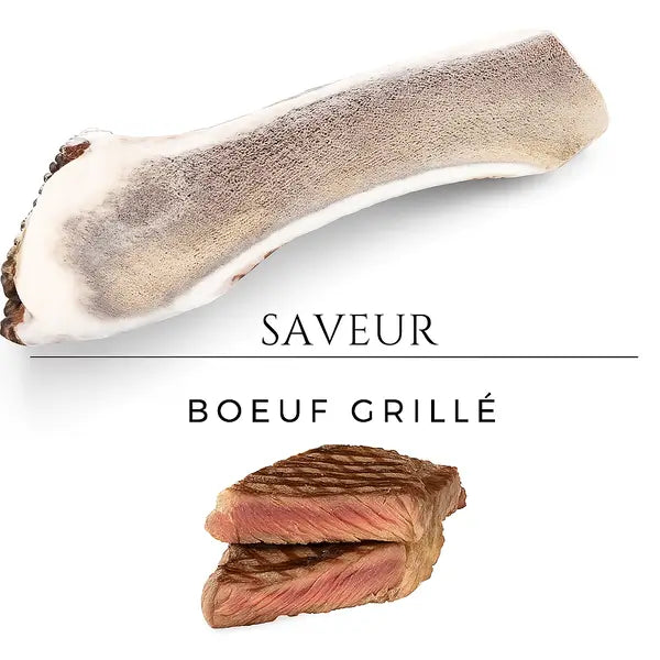 Bois de cerf pour chien tranché aromatisé