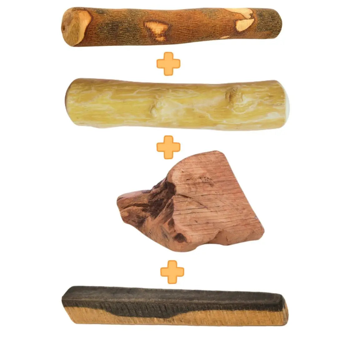 box-mastication-chien-vegetal