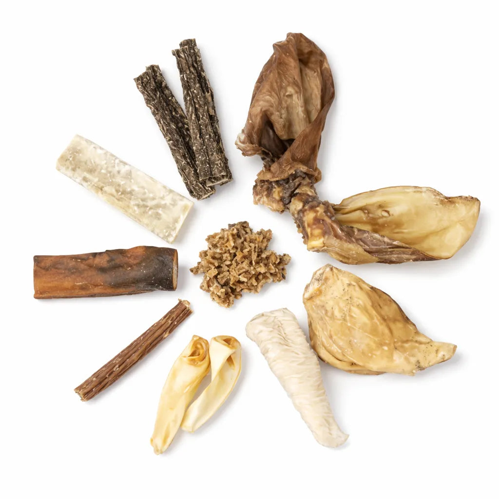 Box mix friandises séchées - Mastication faibles en calories