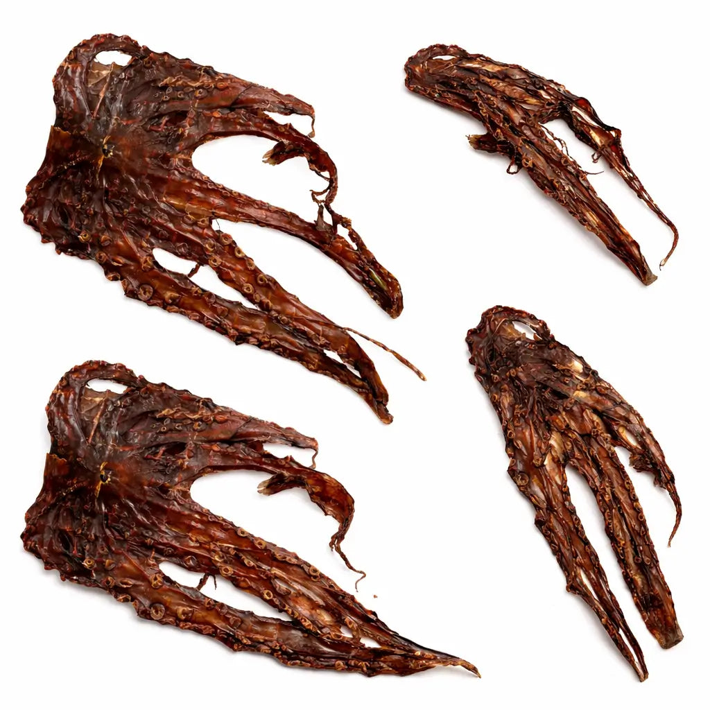 Calamar séché pour chien