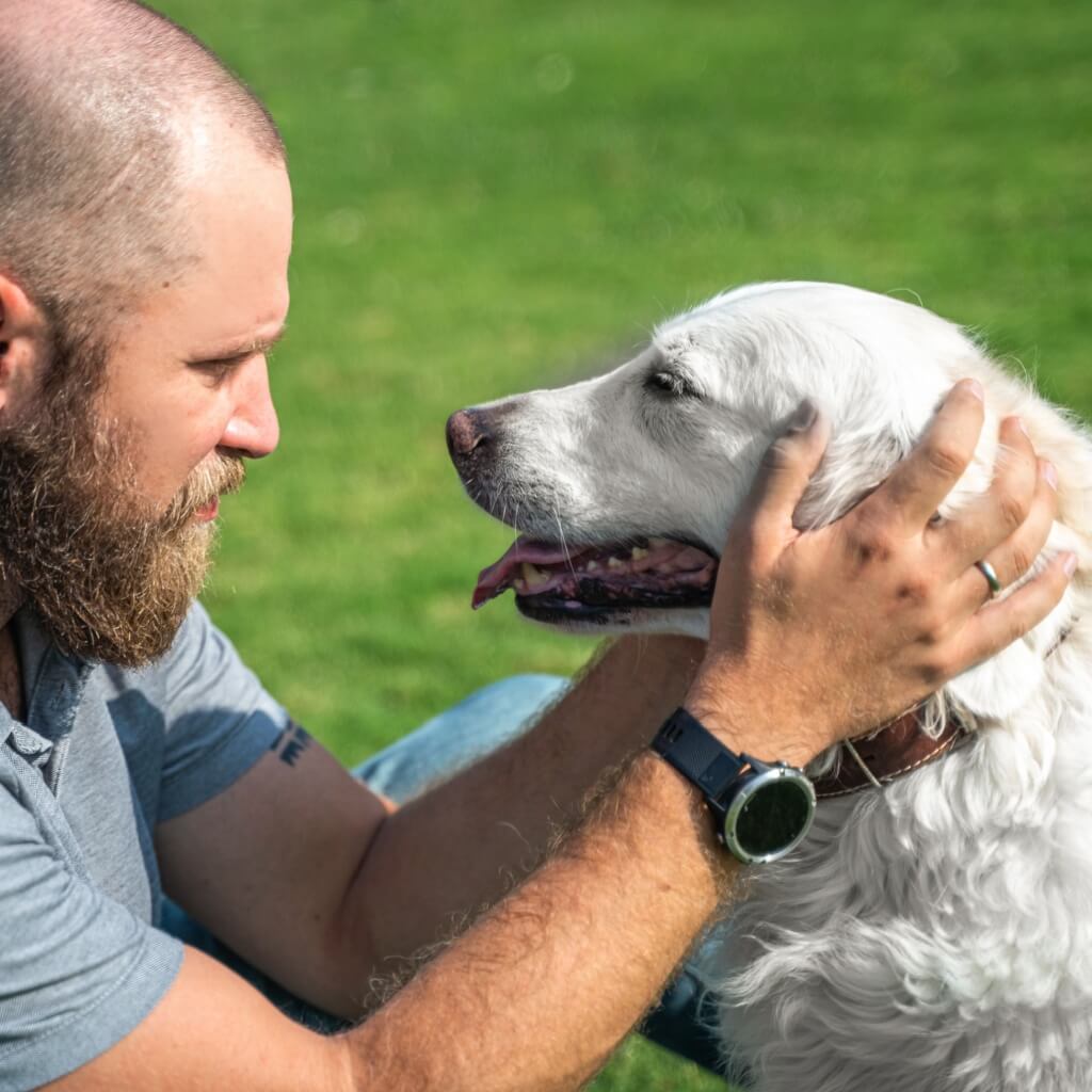 chien_complicite_maitre