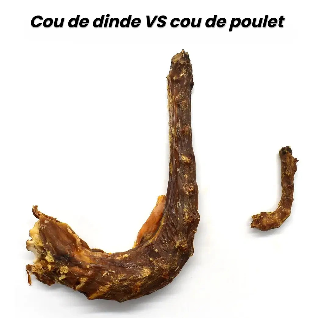 taille cou de dinde VS cou de poulet