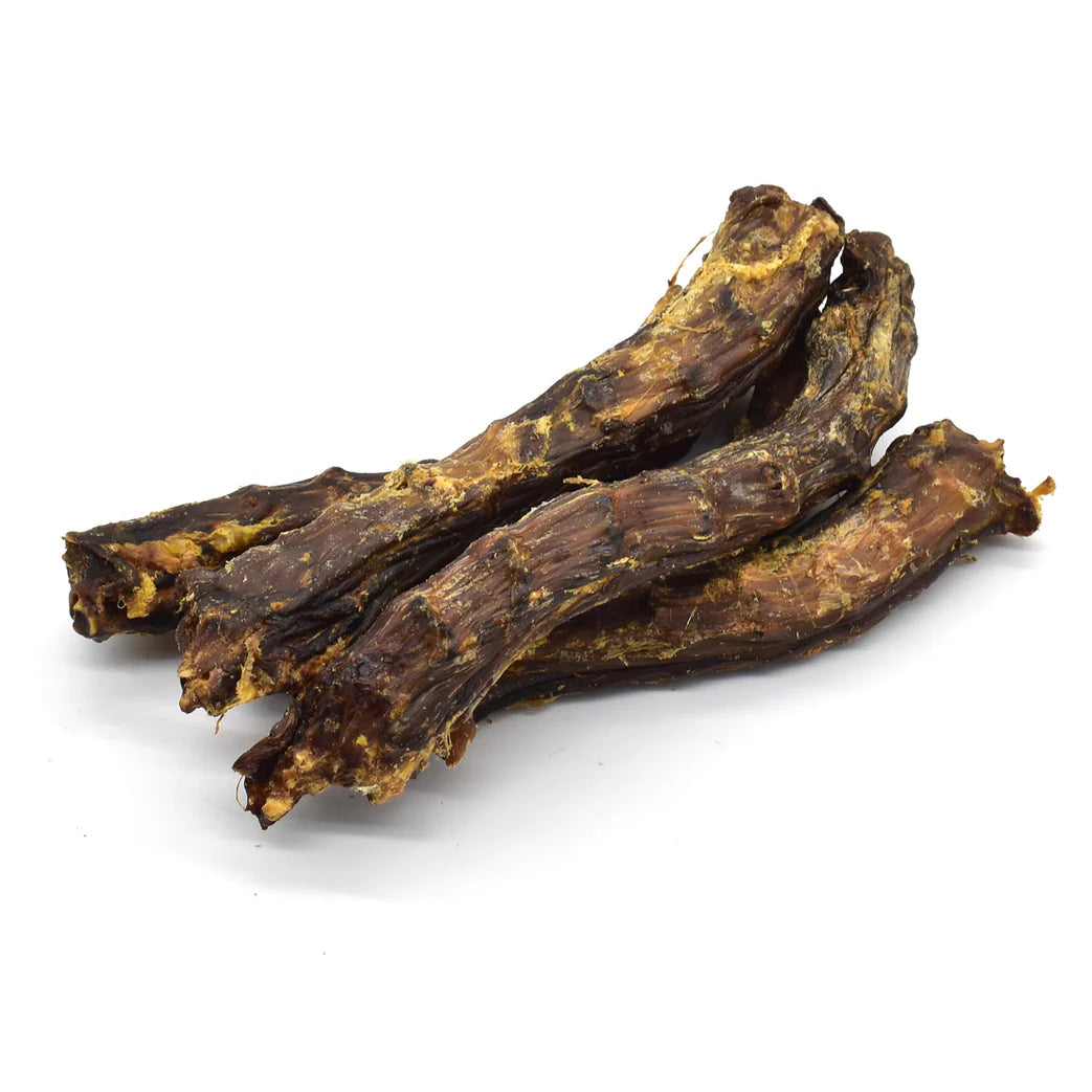 cou_de_canard_pour_chie