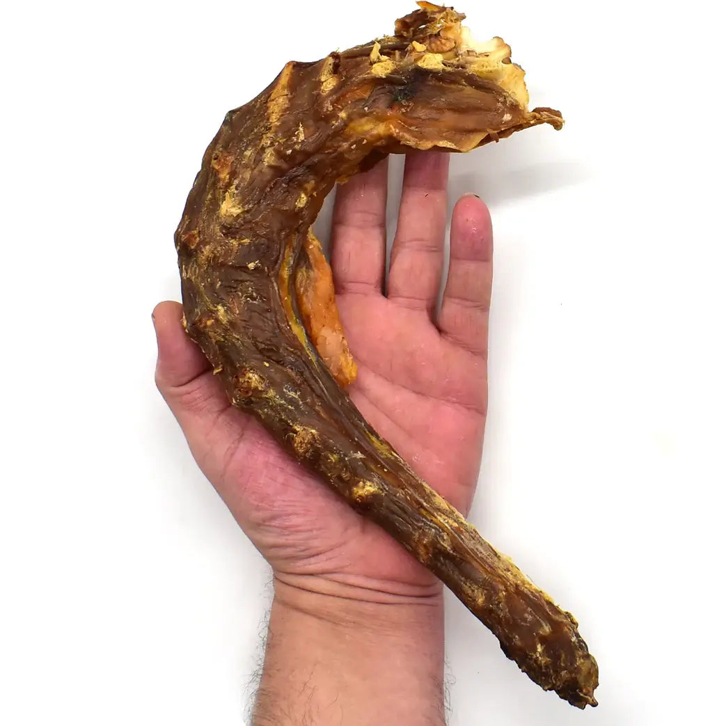 cou de dinde dans une main