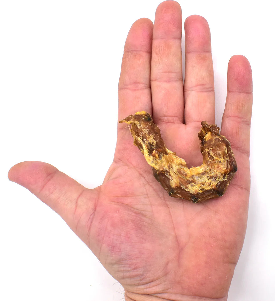 cou_de_poulet_pour_chien main