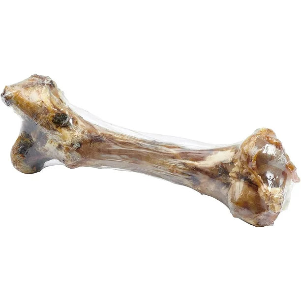 femur_por_chien