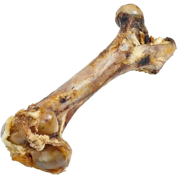 femur_porc_pour_chien