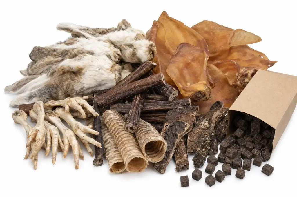 gros plan sur des friandises naturelles pour chien