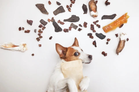 friandises naturelles pour chien