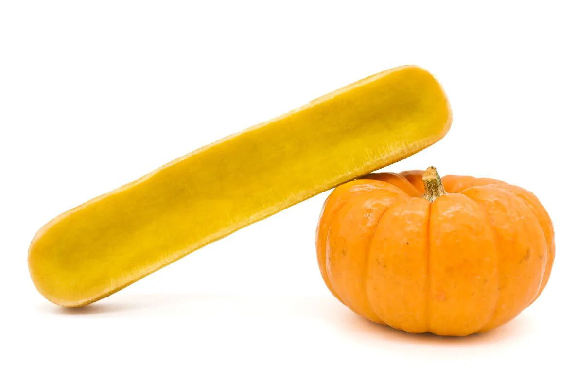 fromage_de_yak_citrouille