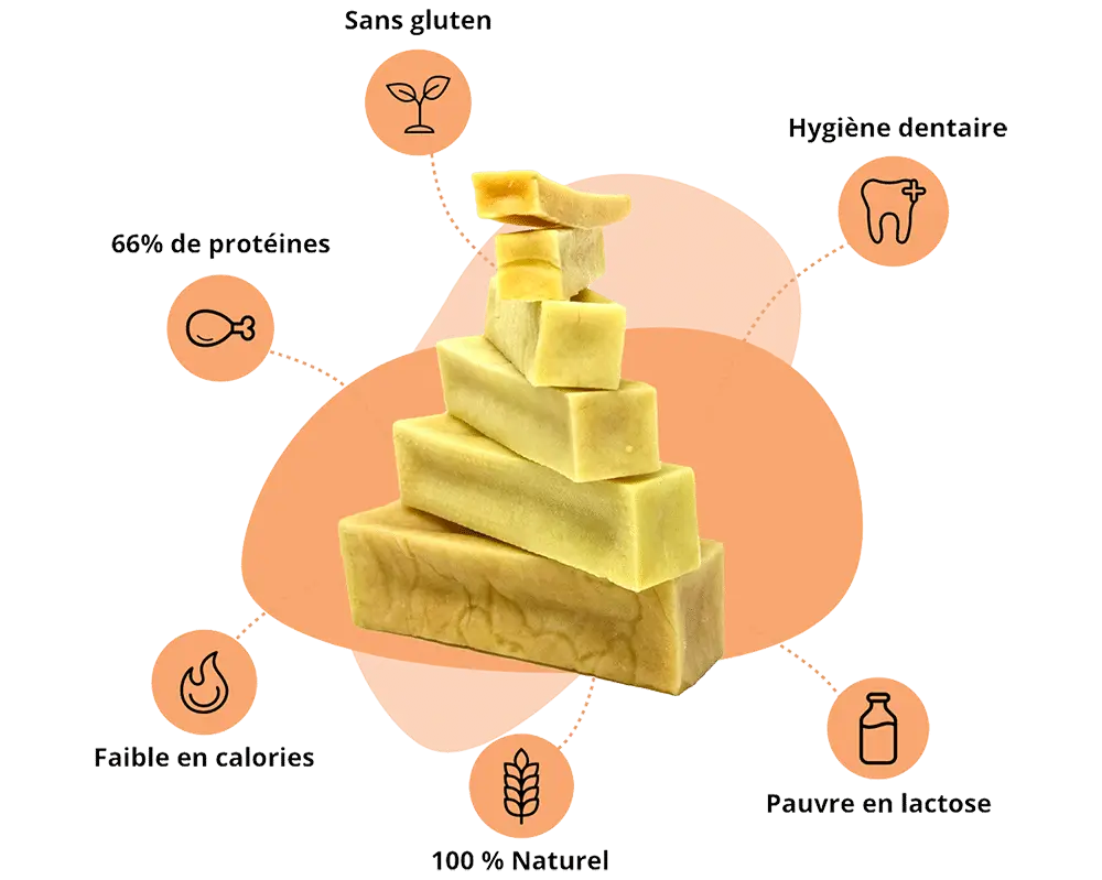 fromage_de_yak_pour_chien  bienfaits