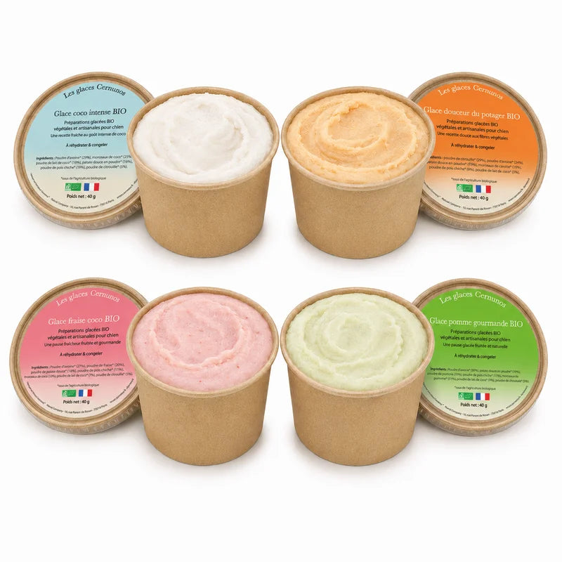 Glaces BIO pour chien Cernunos